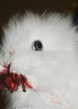 Здравствуй Новый Мир