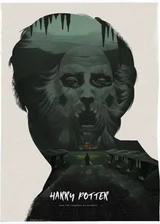Гарри Поттер и восхождение обычного человека