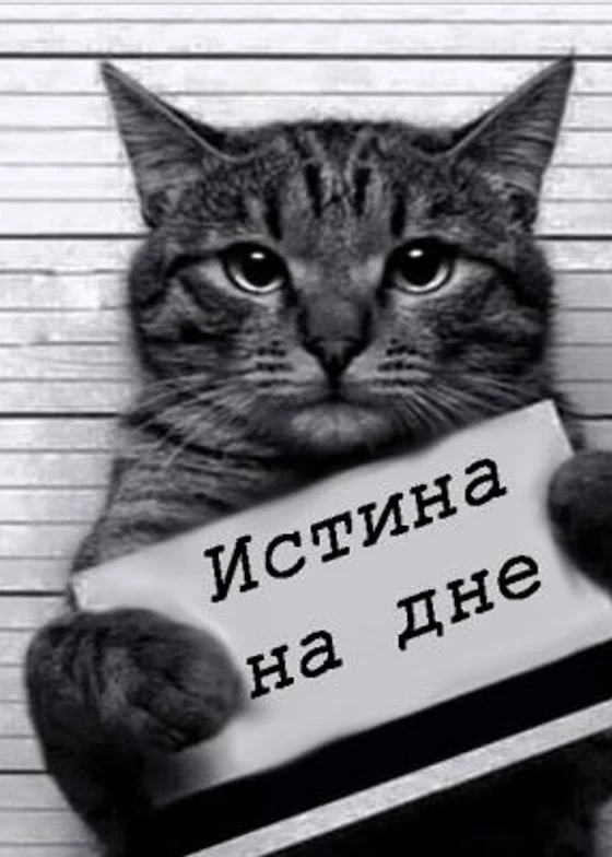 Дно кувшина