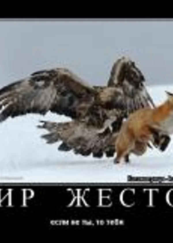 Мир жесток если не ты ,то тебя убьют