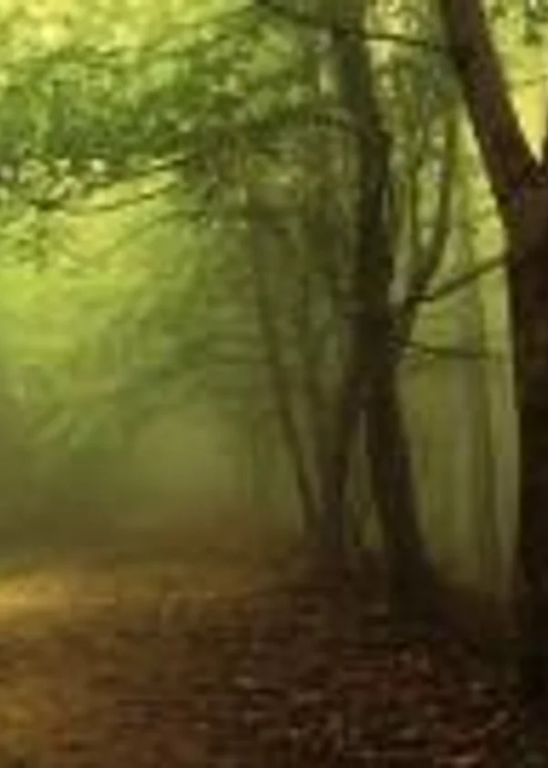 Obscure Path