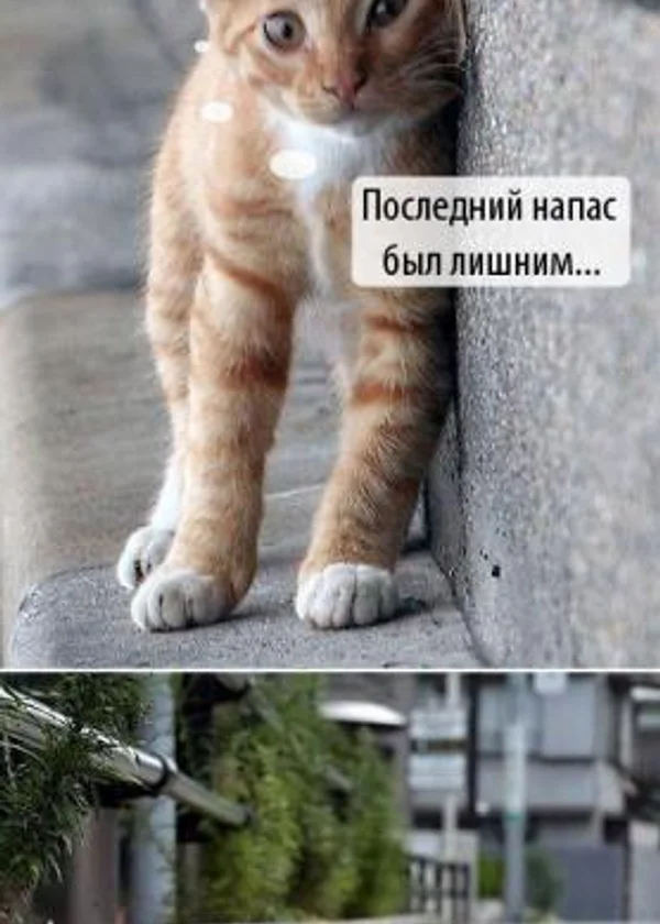 «Фантастические идеи третийца одного пыльного шарика тусклой звезды»