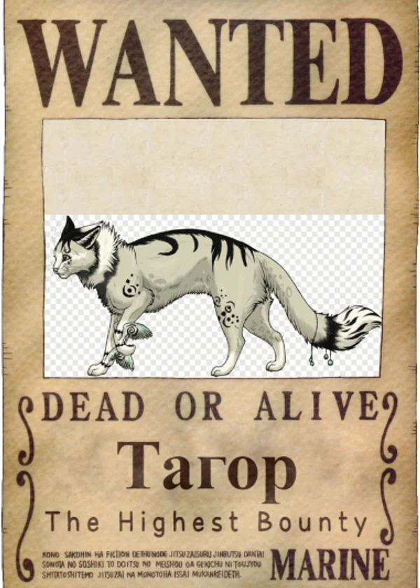 Дорога грёз (One Piece в Космосе)