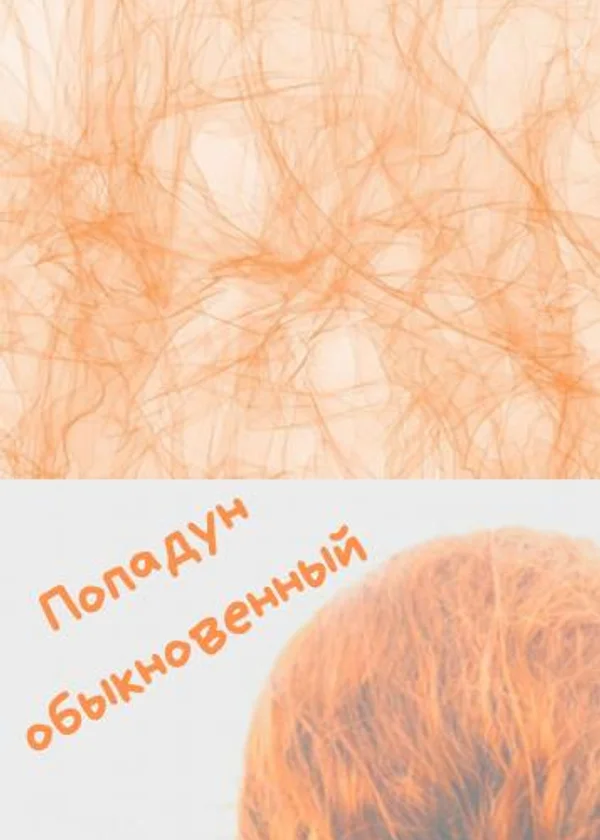 Попадун обыкновенный