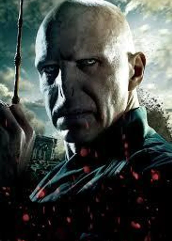 Гарри Поттер и Хозяин смерти