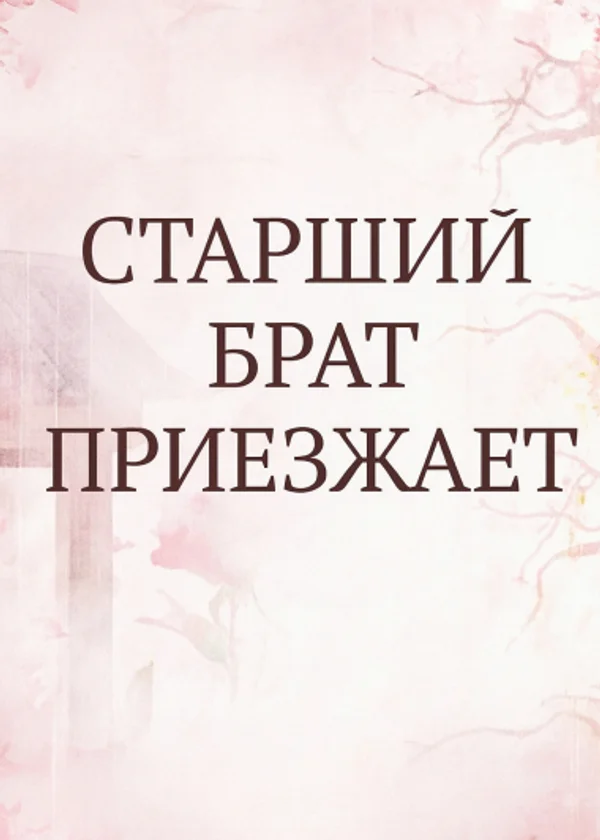 Старший брат приезжает