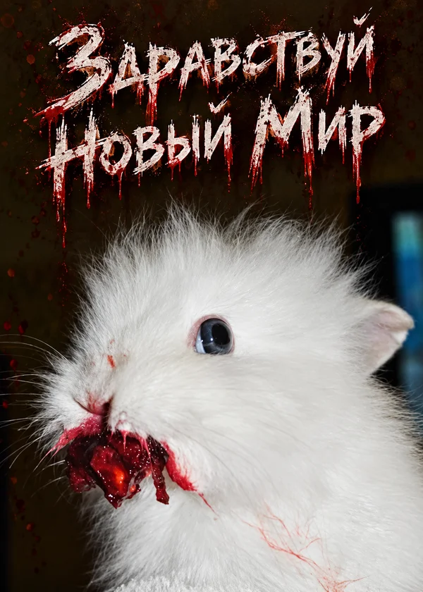 Здравствуй Новый Мир