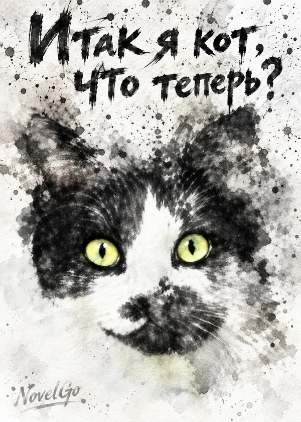 Итак я кот, что теперь?