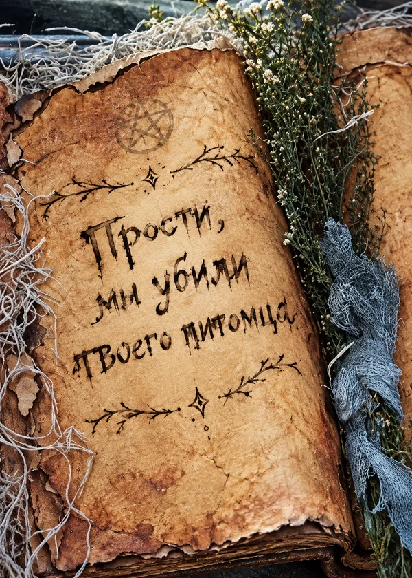 Прости, мы убили твоего питомца