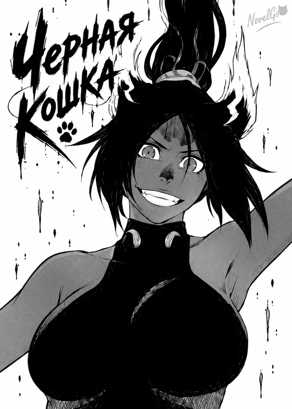 Черная кошка
